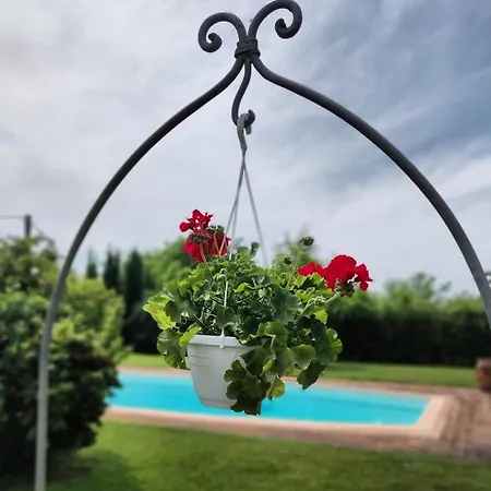 Il Casolare Di Bonci 4* Santa Maria a Monte