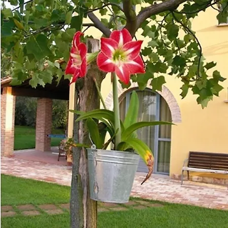 Il Casolare Di Bonci